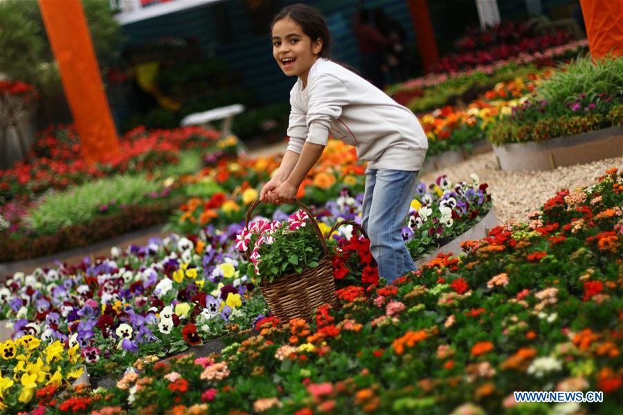 EGYPT-GIZA-EXHIBITION-FLOWER