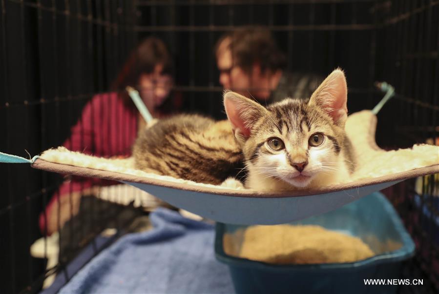 XINHUA PHOTO WEEKLY CHOICES