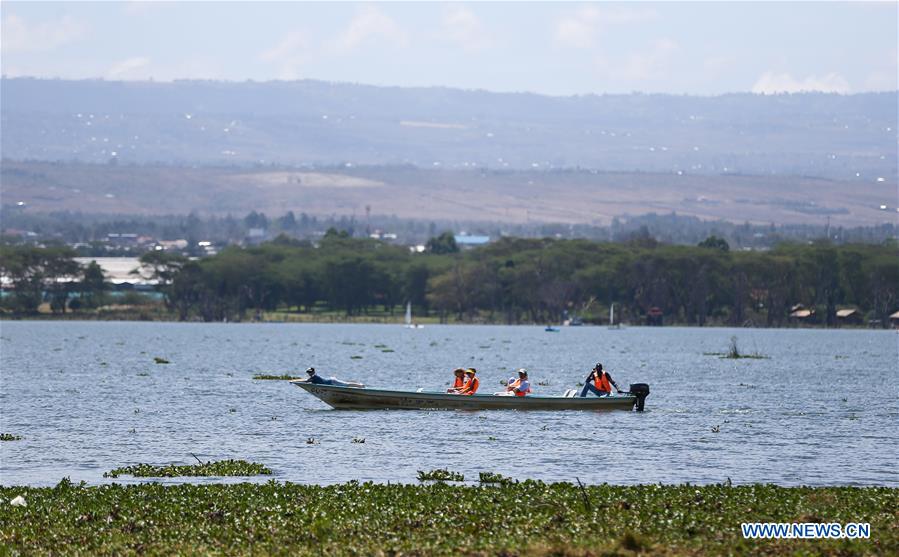 KENYA-LAKE NAIVASHA-SCENERY
