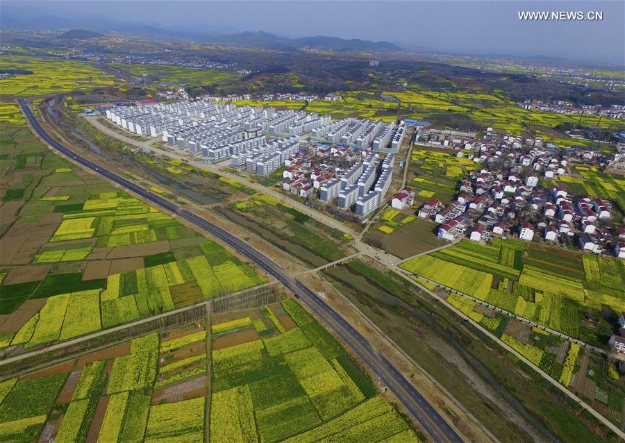#CHINA-SHAANXI-COLE FLOWERS (CN) 