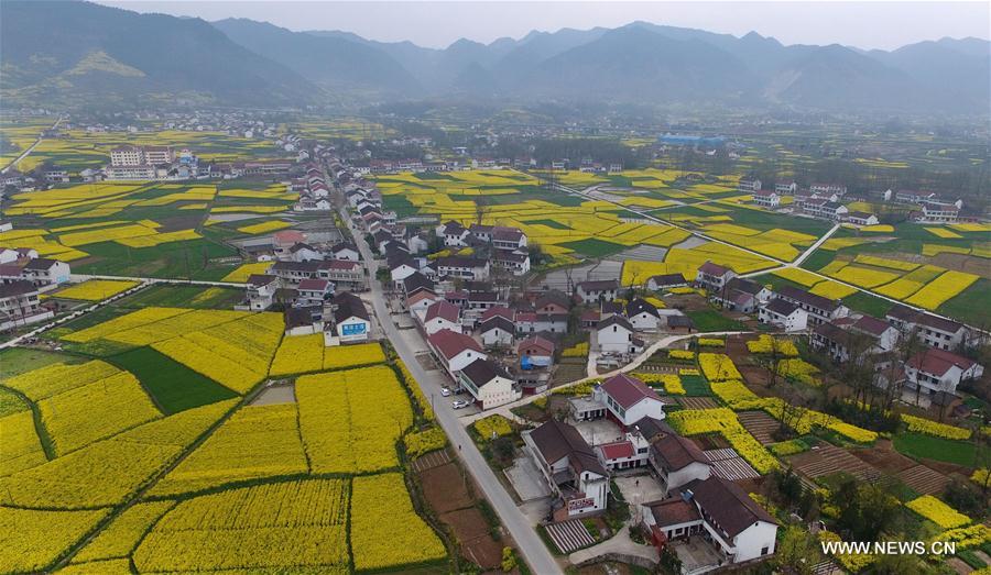 Hanzhong holds cole flower festival on March every year. Hanzhong holds cole flower festival on March every year.