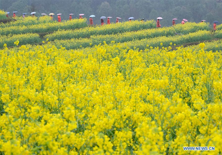 #CHINA-ZHEJIANG-COLE FLOWER-CHEONGSAM(CN)