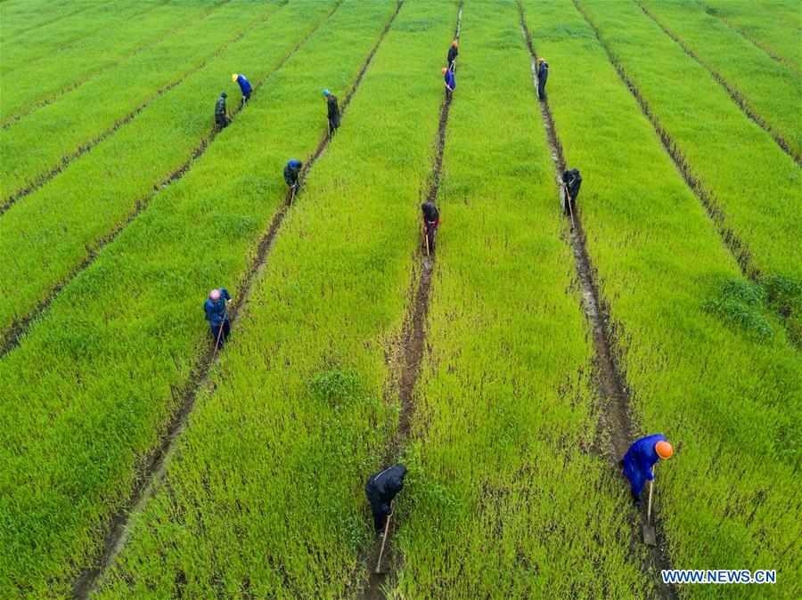 CHINA-ZHEJIANG-HUZHOU-ENVIRONMENT (CN)