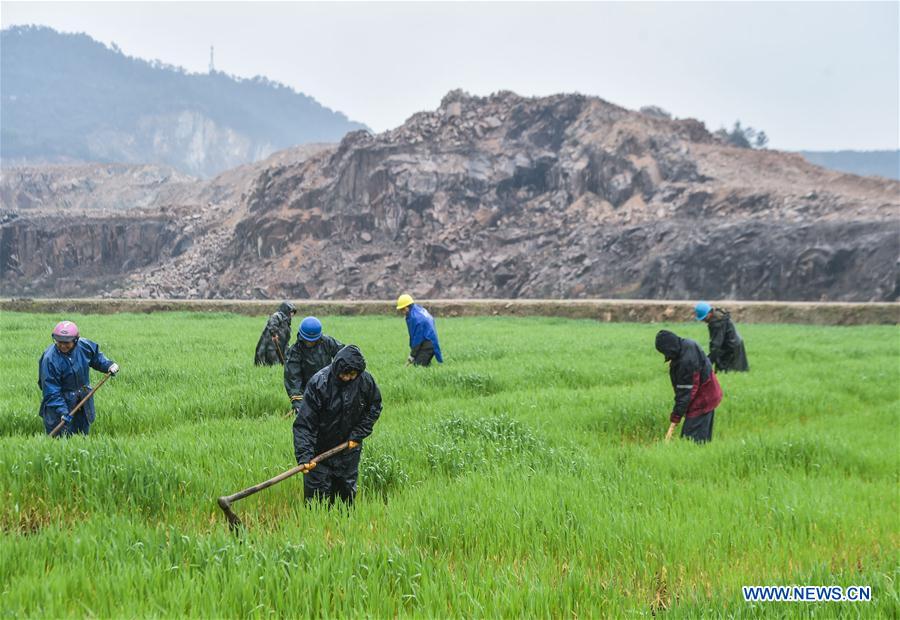 CHINA-ZHEJIANG-HUZHOU-ENVIRONMENT (CN)