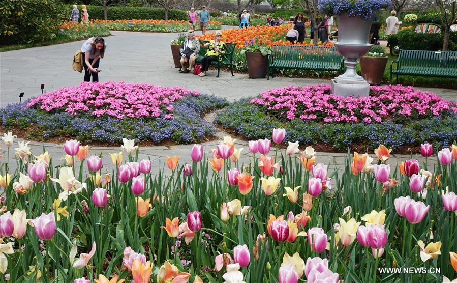 U.S.-DALLAS-ARBORETUM-FLOWERS