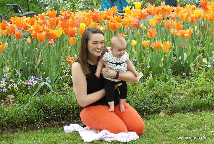 U.S.-DALLAS-ARBORETUM-FLOWERS