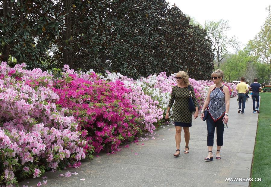 U.S.-DALLAS-ARBORETUM-FLOWERS