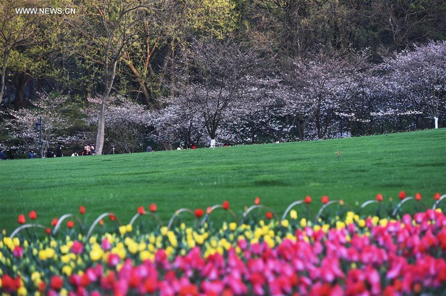 CHINA-HANGZHOU-SPRING SCENERY (CN)