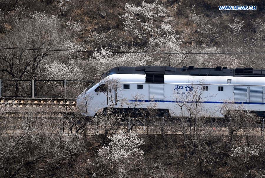 CHINA-BEIJING-SPRING-TRAIN (CN)