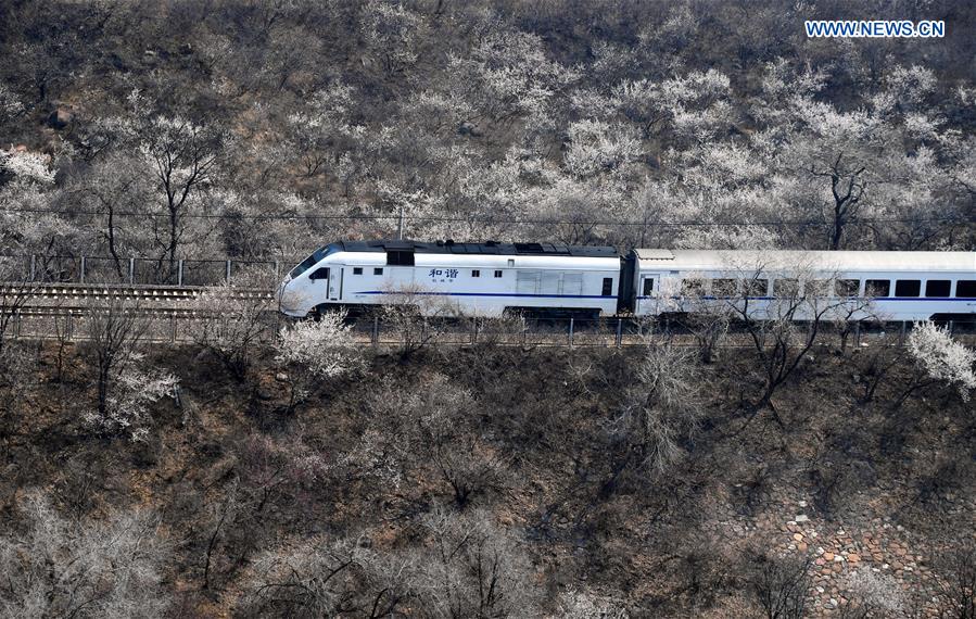 CHINA-BEIJING-SPRING-TRAIN (CN)