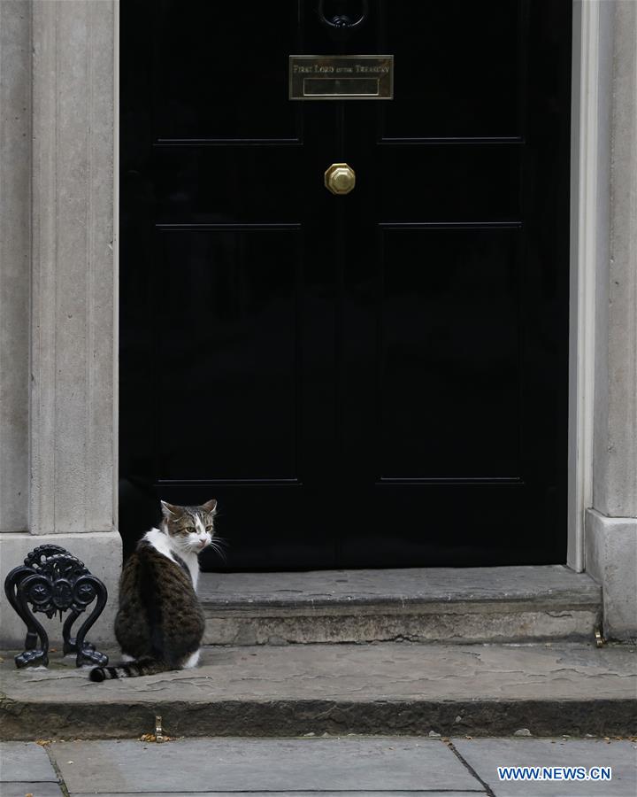 BRITAIN-LONDON-BREXIT
