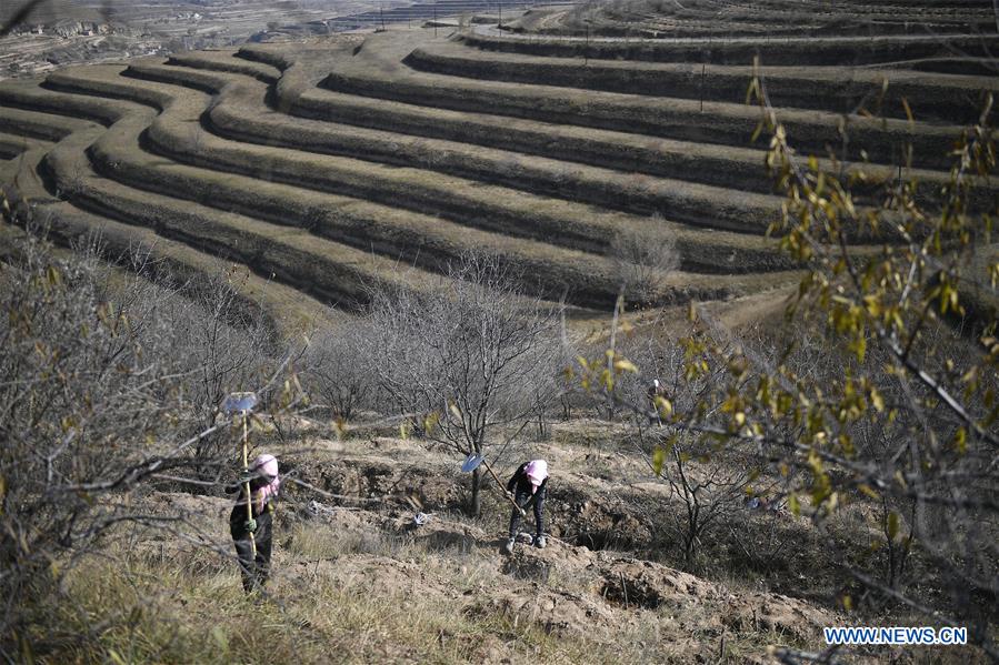 (生态)(2)宁夏彭阳:生态立县 打造美丽山川