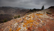 Red sandstone landscape inside national geopark in NW China