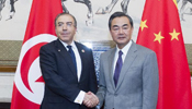 China, Arab foreign ministers meet in Beijing