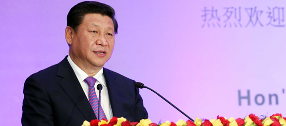 China, India should be partners for peace, development: Xi