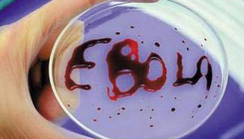 Second U.S. nurse with Ebola released from hospital