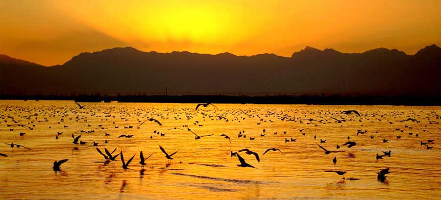 Shahu Lake, where water meets sand