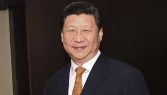 President Xi Jinping attends BRICS summit