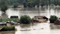 Floods ravage northern India