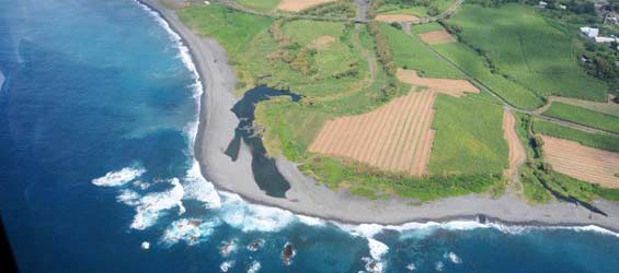Search for more MH370 debris continues off Reunion