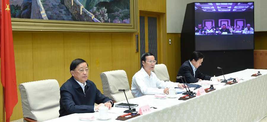 Chinese vice premier stresses completion of shanty town renovation goals