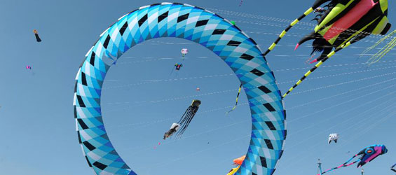 Seaside kite festival held in east China's county