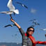 Black-headed gulls come to Kunming for winter for 31 years in a row