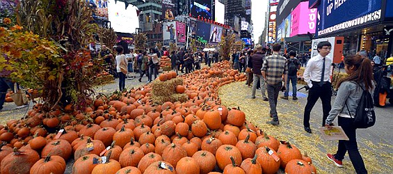 Pop-up pumpkin patch is set up for Halloween in Times Square