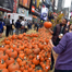 Pop-up pumpkin patch is set up for Halloween in Times Square, New York