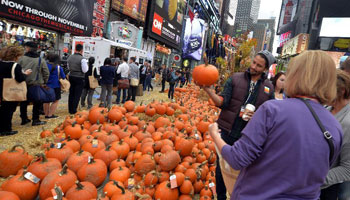Pop-up pumpkin patch is set up for Halloween in Times Square, New York