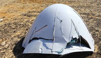 Foreign intelligence not shared with Egypt on Russian plane crash: FM