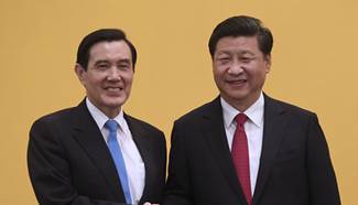 Xi calls for adhering to one-China principle in meeting with Ma