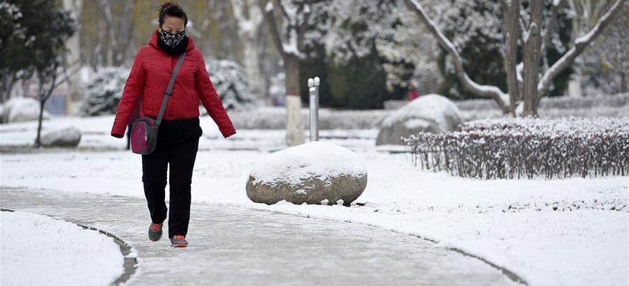 Snowfall witnessed in NW China's Ningxia