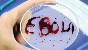 West Africa "on cusp of" becoming Ebola free: UN Chief