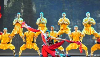 Chinese artists give performance in Houston