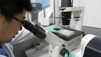 Protein receptor on sperm may lead to unisex contraceptive