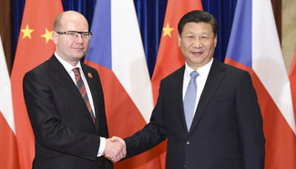 Chinese, Czech leaders see more chances in Belt and Road Initiative