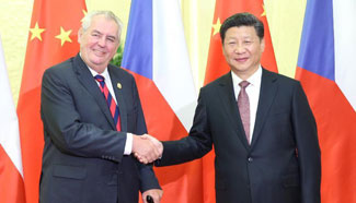 China, Czech Republic vow to strengthen relations