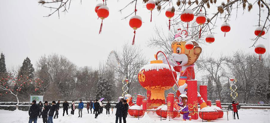 Snowfall hits NW China's Yinchuan
