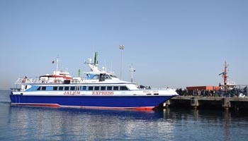 First batch of deported migrants arrive in western Turkey