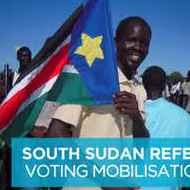 Gov't resolve, rebel's rejection dim approaching Darfur referendum