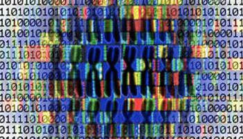 China to establish newborns, embryos genome databases