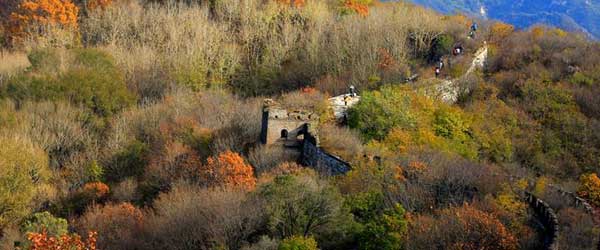 Autumn scenery of Mutianyu Great Wall in Beijing