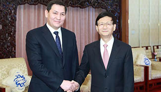 China, Kyrgyzstan security officials meet on cooperation