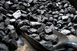 China Focus: Coal price fever chills power plants