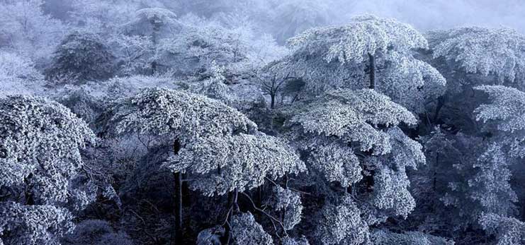 Snowy scenery of Huangshan Mountain in E China