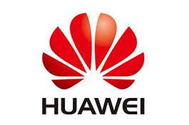 Interview: Huawei ushers in era of intelligent phone -- business head