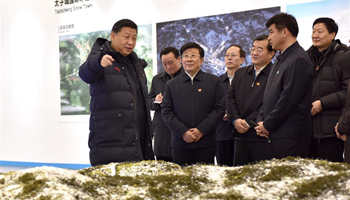 Xi stresses preparation for Beijing 2022 Winter Olympics