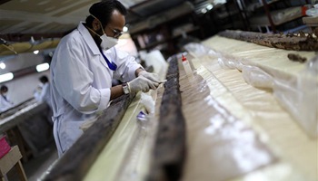 Egypt inaugurates makeshift lab to restore Khufu's second boat