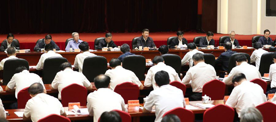 Xi urges efforts to eradicate extreme poverty